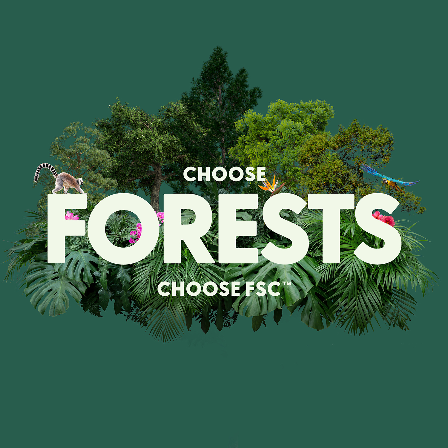 FSC® Forest Week: quot Choose Forests Choose FSC quot Forest Stewardship Council FSC® Forest Week: quot Choose Forests Choose FSC quot Forest Stewardship Council
