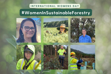 Women In Sustainable Forestry