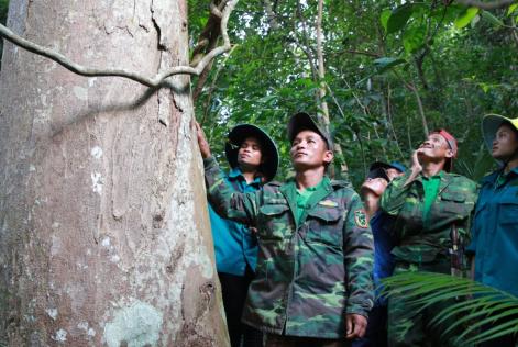 © FSC / Phan Tan Lam