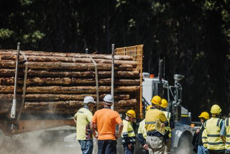 © FSC Australia and New Zealand: FSC Forest Walk 2025