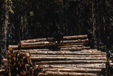 FSC ANZ - Andreas Weiss.jpg