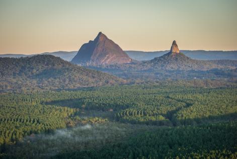 HQPlantations Beerburrum Plantations