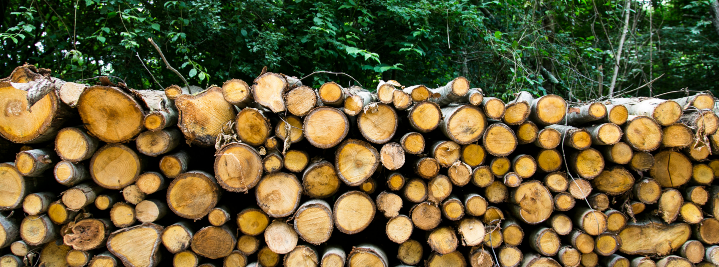 Controlled Wood  Forest Stewardship Council