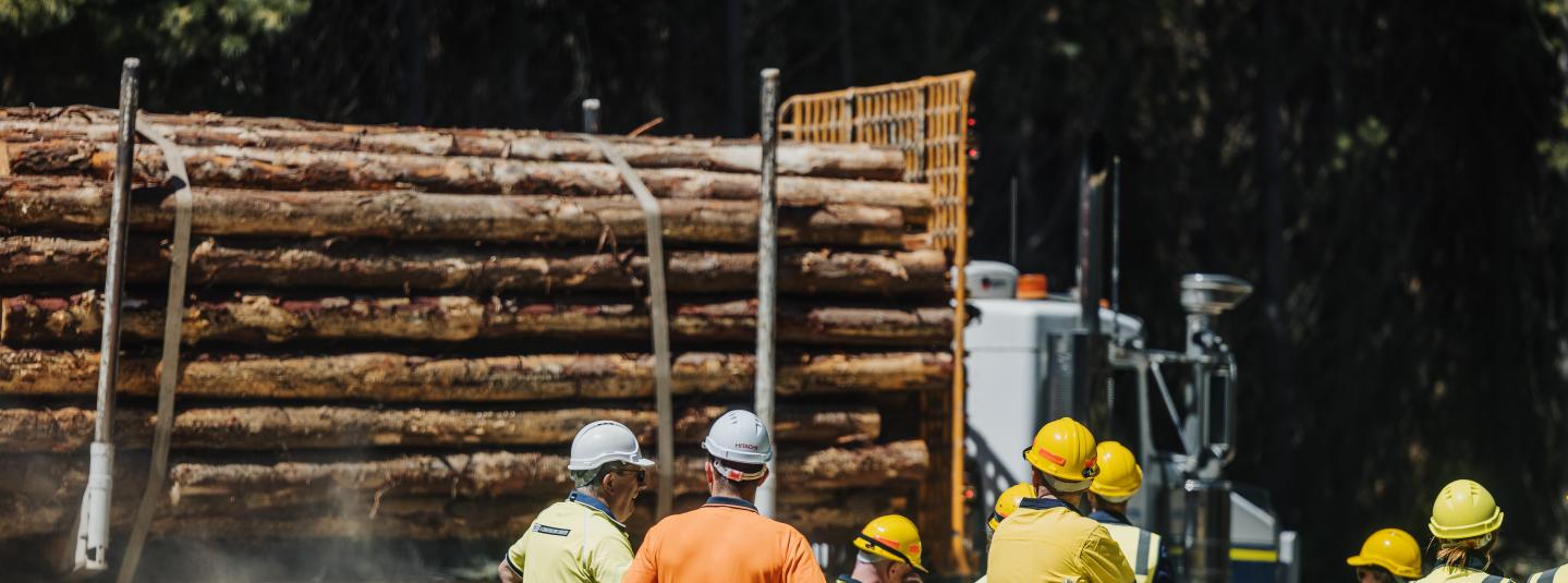 © FSC Australia and New Zealand: FSC Forest Walk 2025