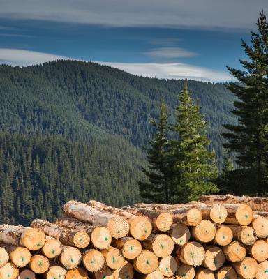 FSC Australia & New Zealand on X: Approximately 423 million cubic meters  of wood is harvested per year in FSC-certified forests globally. FSC  certified timber makes up 22.6% of global industrial roundwood