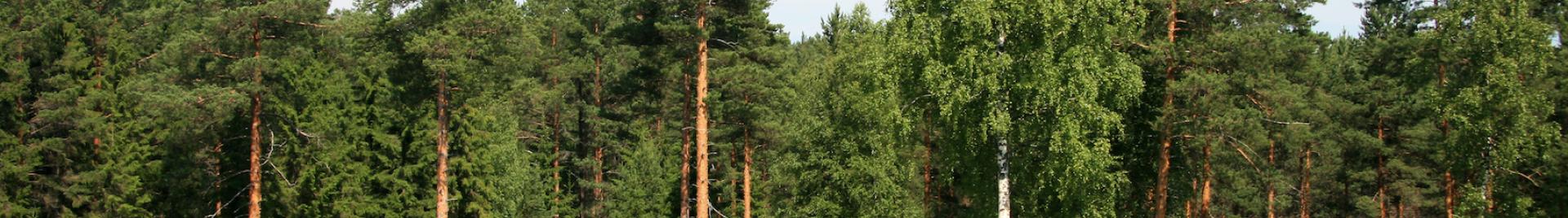 Finland Photo