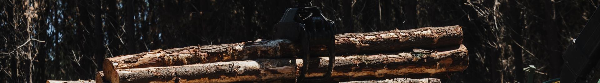 FSC ANZ - Andreas Weiss.jpg