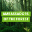 Ambassadors of the forest
