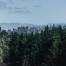 FSC Certified Forest - Australia