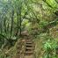 Mount Te Aroha mountain track stairs